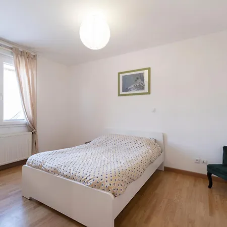Apartment Le Cocon D'emile - Cosy Et Equipe Nancy
